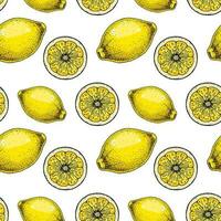 Lemon slice seamless pattern. Colorful hand drawn vector illustration in sketch style. Tropical exotic citrus fruit summer background