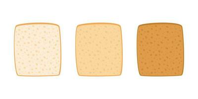 Toast bread cut slice from wheat set. Toasted piece bakery food. Slices of toast bread with varying degrees of toasting. Square loaf, white bread. Vector illustration