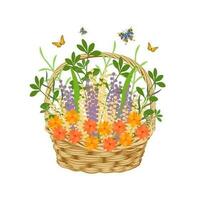 Basket of flowers with butterflies on a white background. Spring summer illustration, vector