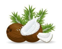Coconut and sliced coconut with a splash of milk on a white background with palm leaves. Illustration, vector