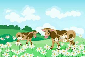 Cute spotted cows in a field of daisies, summer landscape. Poster, banner, illustration, vector