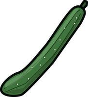 cucumber Illustration Vector
