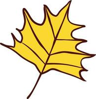 leaf yellow autumn vector