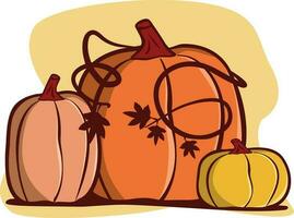 pumpkins autumn fall Illustration Vector