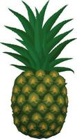 vector de ilustración de piña