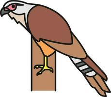 pájaro ilustración vector