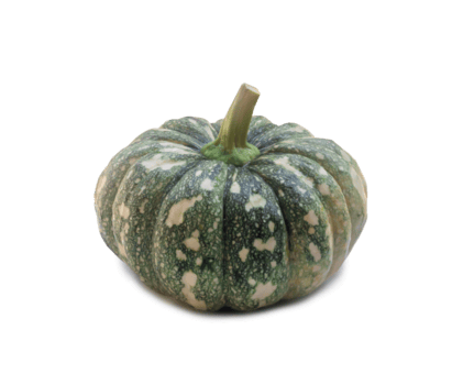 Single fresh green pumpkin with strange pattern isolated with clipping path in png file format