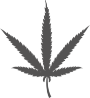 cannabis lämna symbol. hampa växt silhuett. marijuana ört- för logotyp design png