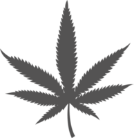 cannabis lämna symbol. hampa växt silhuett. marijuana ört- för logotyp design png