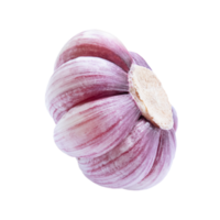 Garlic raw vegetable isolated on transparent background. Stock photo png