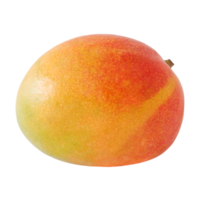 färsk mango frukt isolerat på transparent bakgrund. stock Foto png