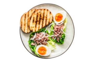 White plate with tuna salad isolated on a transparent background png