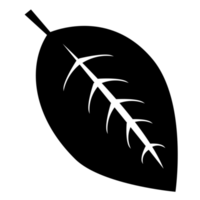 black and white leaf png