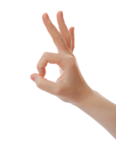 hand showing OK sign isolated png