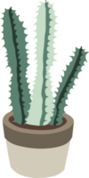 groen cactus pot huis tuin botanisch kamerplant png