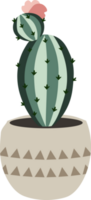 vert cactus pot Accueil jardin botanique plante d'appartement png