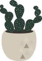 Green cactus pot home garden botanic houseplant png