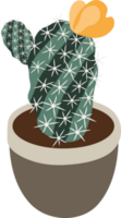 vert cactus pot Accueil jardin botanique plante d'appartement png