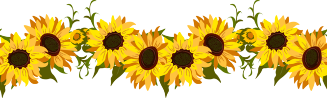 girasol frontera flores png