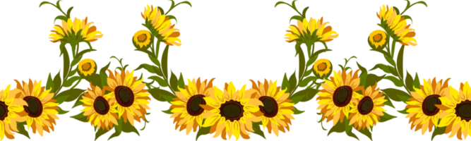 Sunflower Border Flowers png