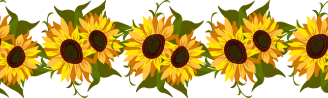 zonnebloem grens bloemen png