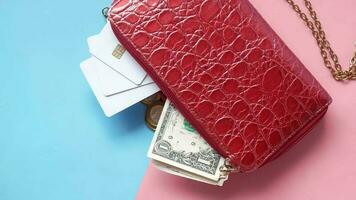 Close up of cash and credit card in woman purse video