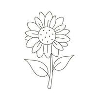 Sunflower outline. Minimalist contour drawing. vector