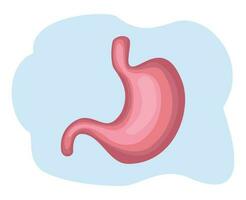 stomach cartoon vector illustration. stomach icon. hull vector flat design. vector cartoon human organs