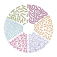 3d framställa uppsättning av annorlunda typer av Bra bakterier av mänsklig microbiome på cirkel form bakgrund, enkel volym illustration png