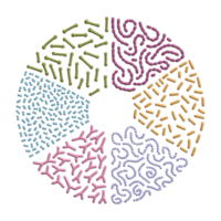 3d render Set of different types of good bacterias of human microbiome on circle shape background, Simple Volume illustration png