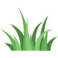 Scrub Grass PNG Illustrations