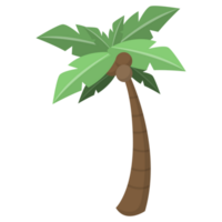 Coconut Tree PNG Illustrations