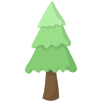 Spruce Pine PNG Illustrations