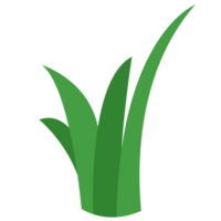 Grass PNG Illustrations