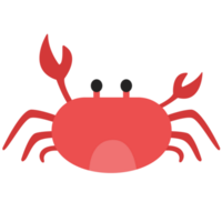 krab strand PNG illustraties