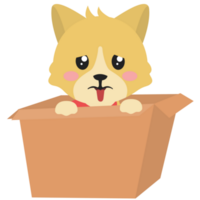 Summer Dog in Box PNG Illustrations