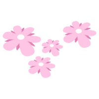 roze bloem PNG illustraties