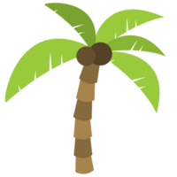 noix de coco arbre png des illustrations