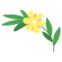 amarillo flor png ilustraciones