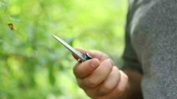 The knife is held by a man standing in the greenery, the man opens the knife and closes it after checking its sharpness, the natural environment video