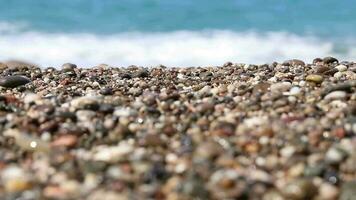 spiaggia ciottoli in piedi nel davanti di il sfocato increspatura mare nel il sfondo, il spiaggia da, vacanza stagione video