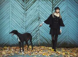 Young attractive girl dressed elegantly walks with the dog greyhound photo