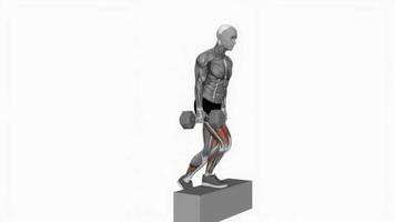 Hantel Single Bein Schritt oben auf Box Fitness Übung trainieren Animation Video männlich Muskel Markieren 4k 60 fps