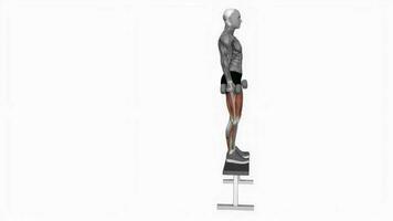 Hantel Schritt oben auf Bank Fitness Übung trainieren Animation Video männlich Muskel Markieren 4k 60 fps