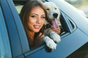 Woman and dog in car. Vacation with pet concept. photo