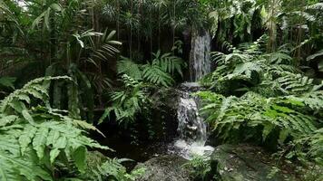 skön vattenfall i en naturlig parkera i orkide trädgård singapore video