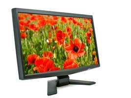 Monitor and poppies. photo