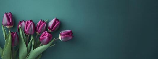 Magenta tulips on teal background, created with generative AI photo
