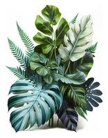 Tropical leaves foliage plant bush floral arrangemen on white background, created with photo
