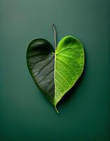Heart shaped leaf, created with photo